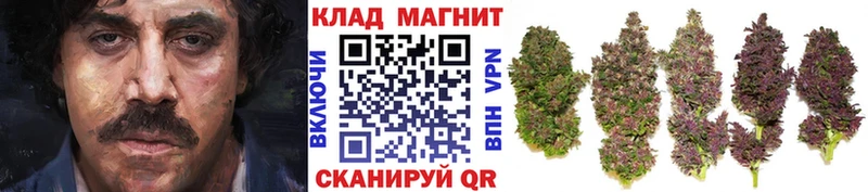 ГАШ Грязи