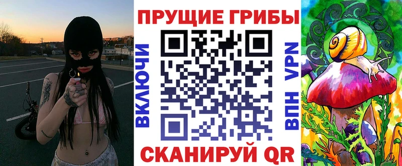 Галлюциногенные грибы Magic Shrooms  Купить где  Грязи 